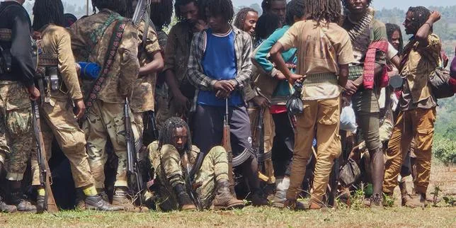 En Ethiopie, les principaux groupes armés s’allient contre le pouvoir d’Abiy Ahmed