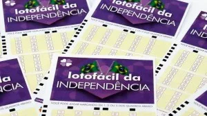 Lotofácil da Independência: veja quanto prêmio de R$ 300 milhões pode render por mês