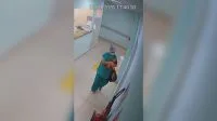 “Criança sem tela é outro nível”: mãe registra filho de 1 ano entalado dentro de galão; veja vídeo