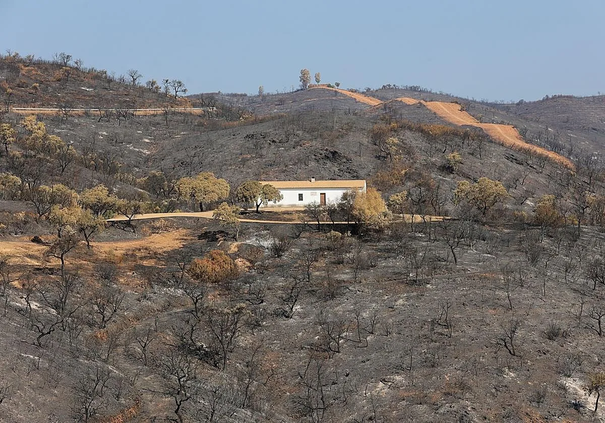 Municipios afectados por el incendio de Niebla piden la declaración de zona catastrófica