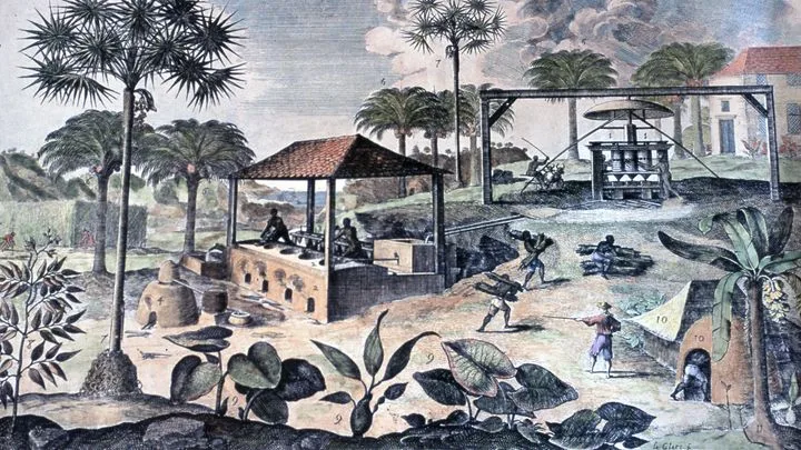 Esclavage, des histoires intimes : Les Tinchant, itinéraire d'une famille marquée par l'esclavage