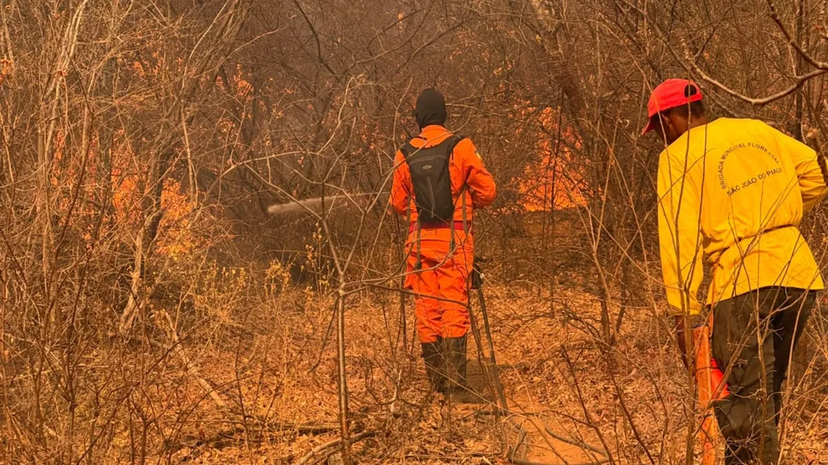 Incêndios em áreas de vegetação mobilizam equipes há cinco dias em cidade no Centro-Sul do Piauí