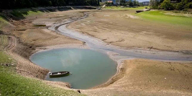 En Suisse, l’élevage affronte l’une des plus sévères sécheresses de l’histoire du « château d’eau de l’Europe »