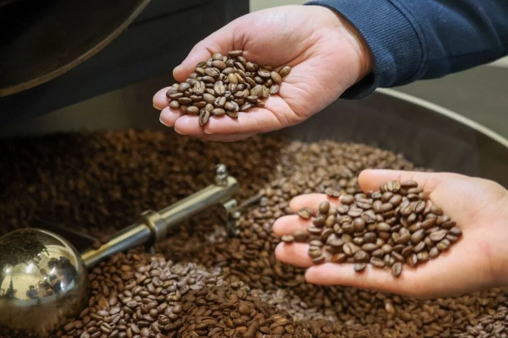 El Instituto Salvadoreño del Café reporta más de 32 mil productores beneficiados, pese a los retos presupuestarios