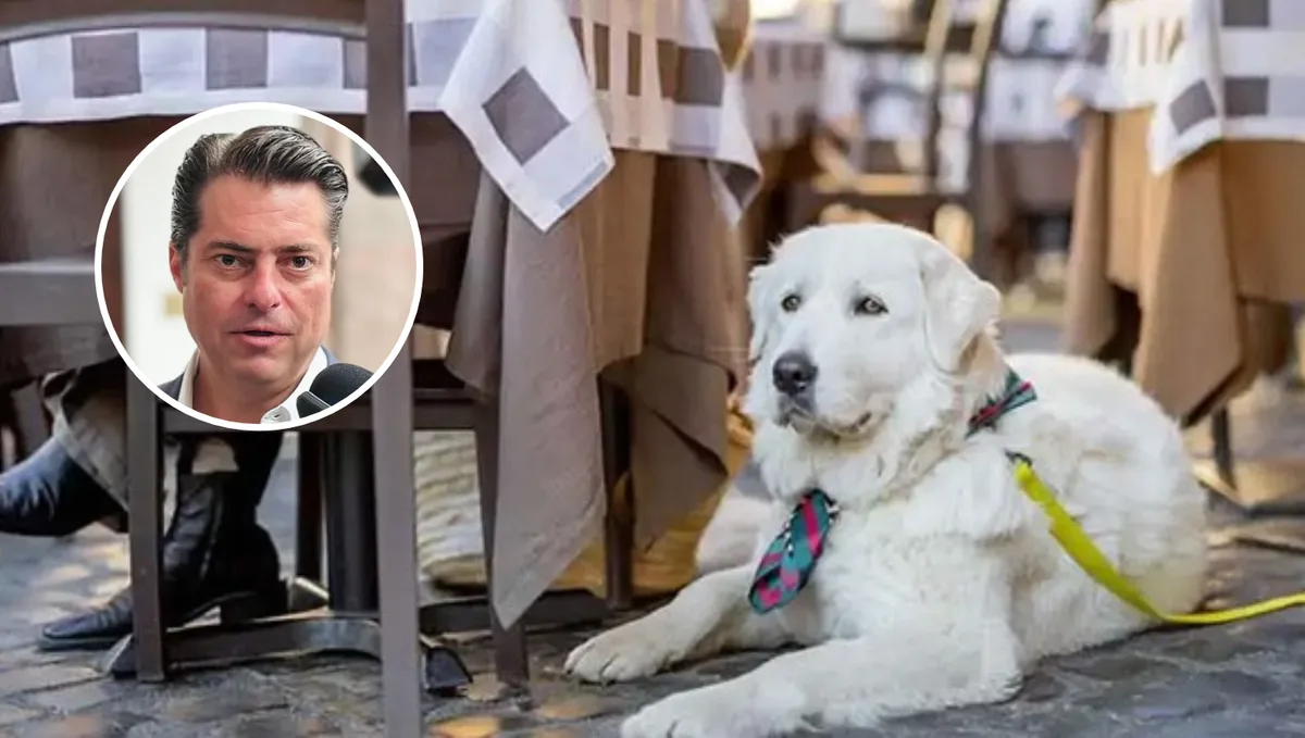 Impulsan acceso con perros guía en restaurantes de Coahuila