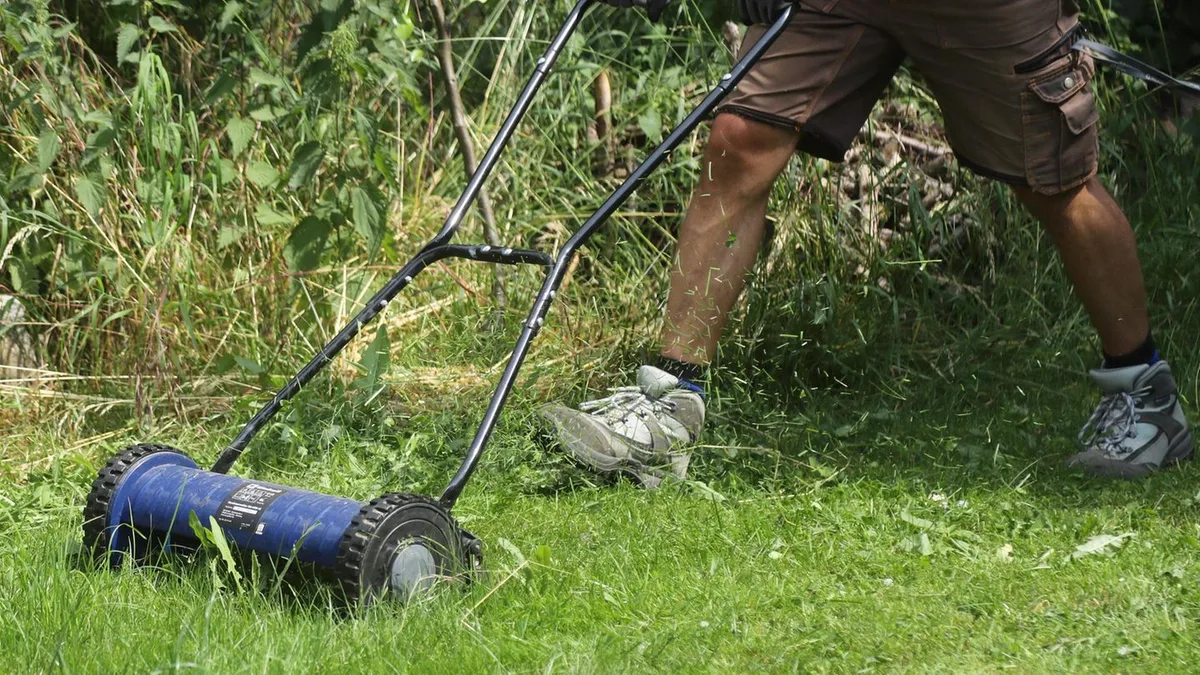 Garten: Mähen, düngen, wässern: So pflegen Sie Ihren Rasen im Herbst