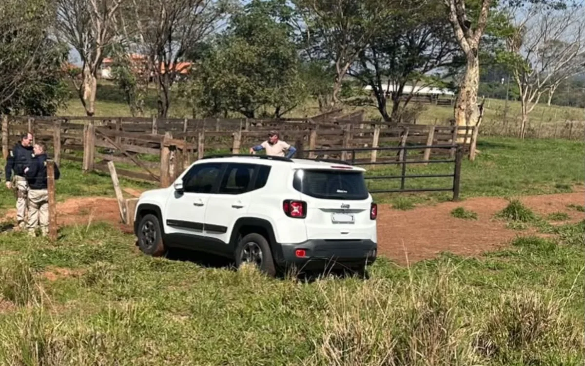 Idosa para em acostamento de rodovia e desce em busca de plantas, esquece de puxar freio e carro invade sítio