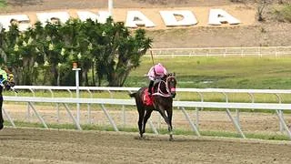 ¿Buscas un batacazo en la quinta válida para el 5 y 6 nacional? ¡Te lo tenemos!