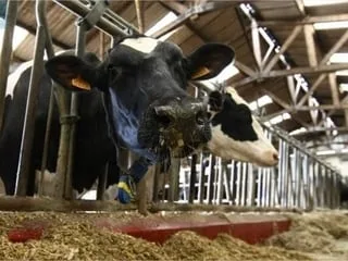 La Ferme de Sourches lance une plateforme d’innovation agricole