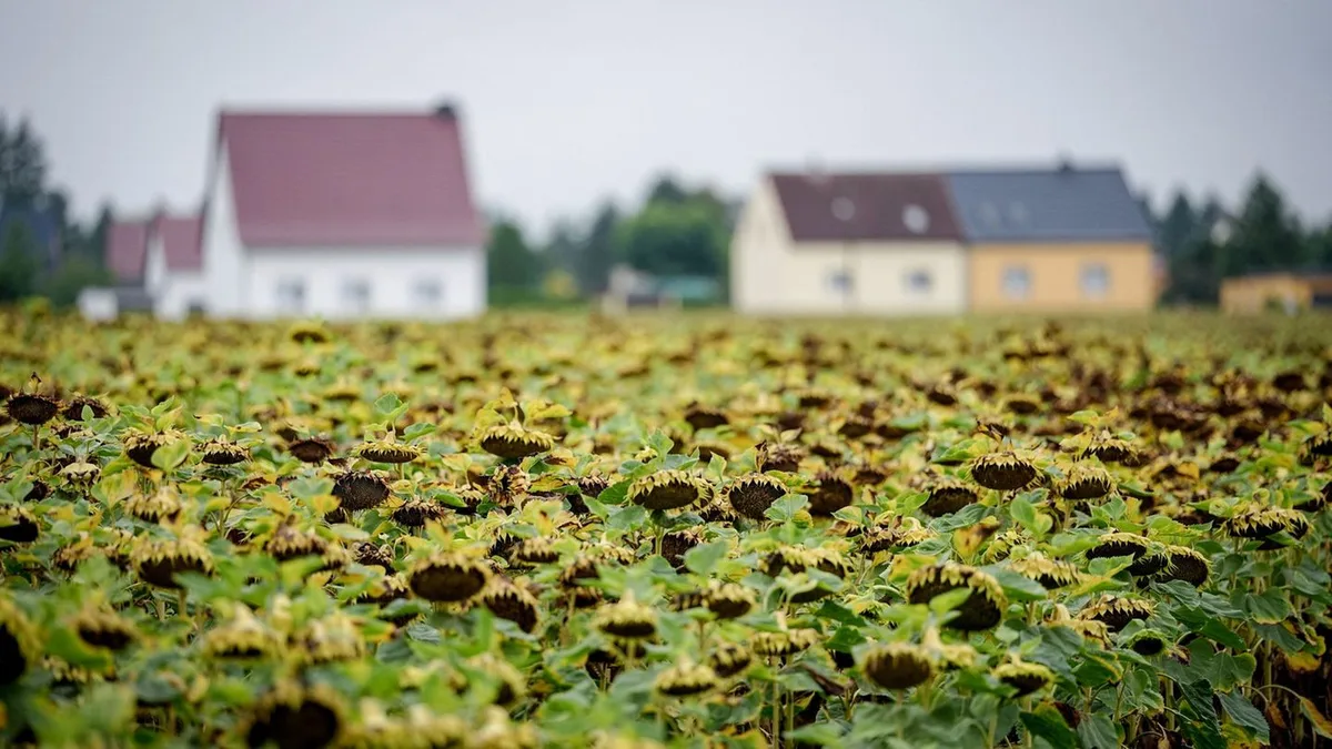 Wetter: Regen und Gewitter – ab Sonntag wird das Wetter freundlicher