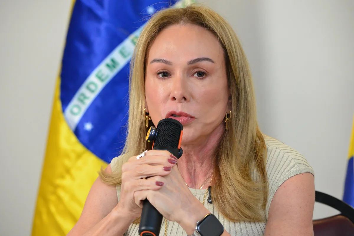 Candidata a senadora Teresa Surita (MDB) declara patrimônio de R$ 8,4 milhões