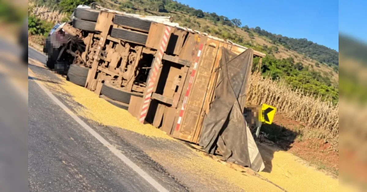 Caminhão carregado com milho tomba e espalha carga entre São Pedro do Ivaí e Bom Sucesso