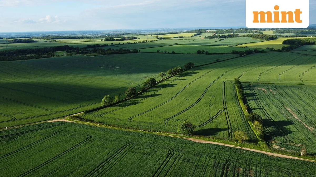Inherited agricultural land sale: When is it tax-free and what exemptions apply?