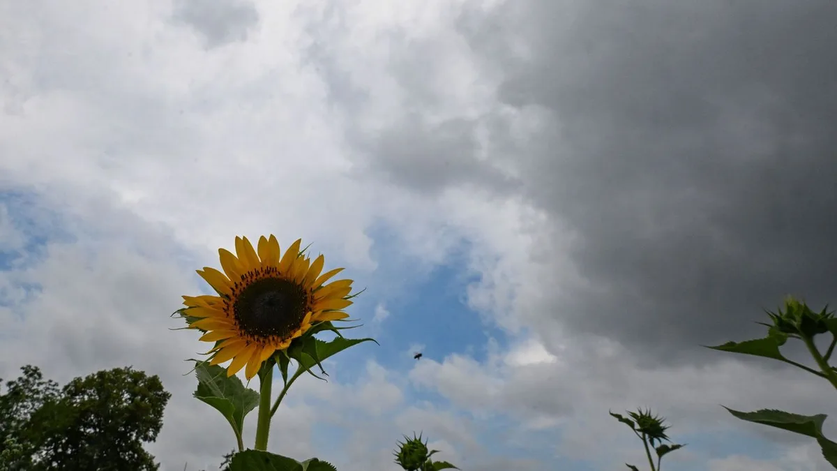 Wetterbericht: Wetterwechsel: So sonnig wird das Wochenende
