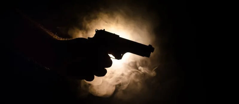 Two ANC councillors shot dead while campaigning on KZN south coast