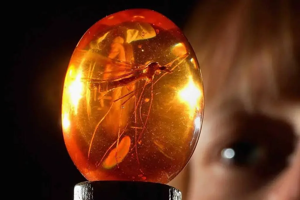 Fóssil de mosquito usado em 'Jurassic Park' é vendido por R$ 2,1 milhões durante leilão