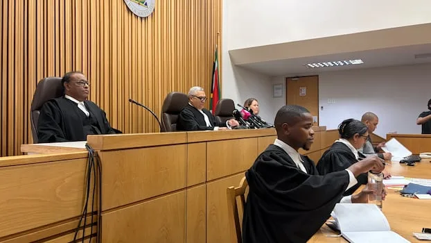 Phala Phala panel asked wrong questions and applied wrong test, says Ramaphosa lawyer