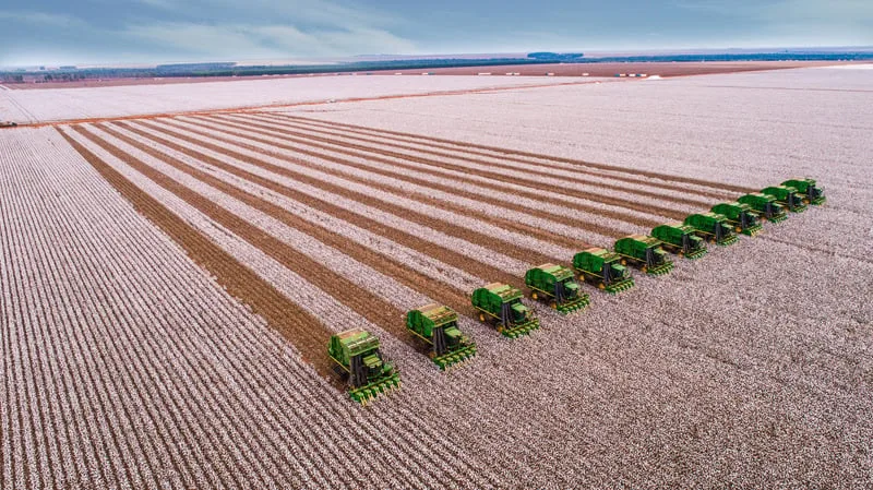 SLC Agrícola abre inscrições para Programa de Estágio 2027; veja como se candidatar