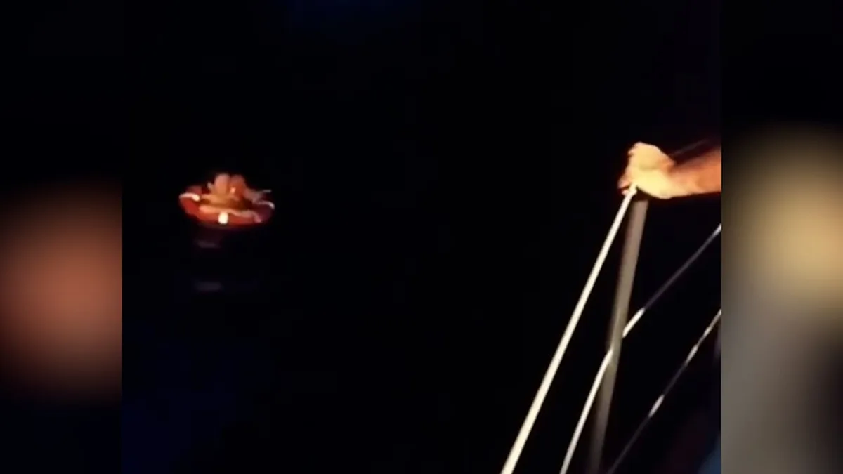 Rettungsring als Lebensretter - Kreuzfahrt-Touristin treibt 20 Stunden im Meer