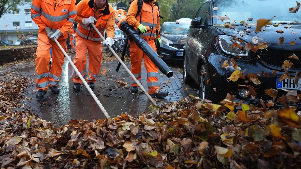 590 Mitarbeiter im Einsatz: Herbsteinsatz der Stadtreinigung: 20.000 Tonnen Laub sammeln
