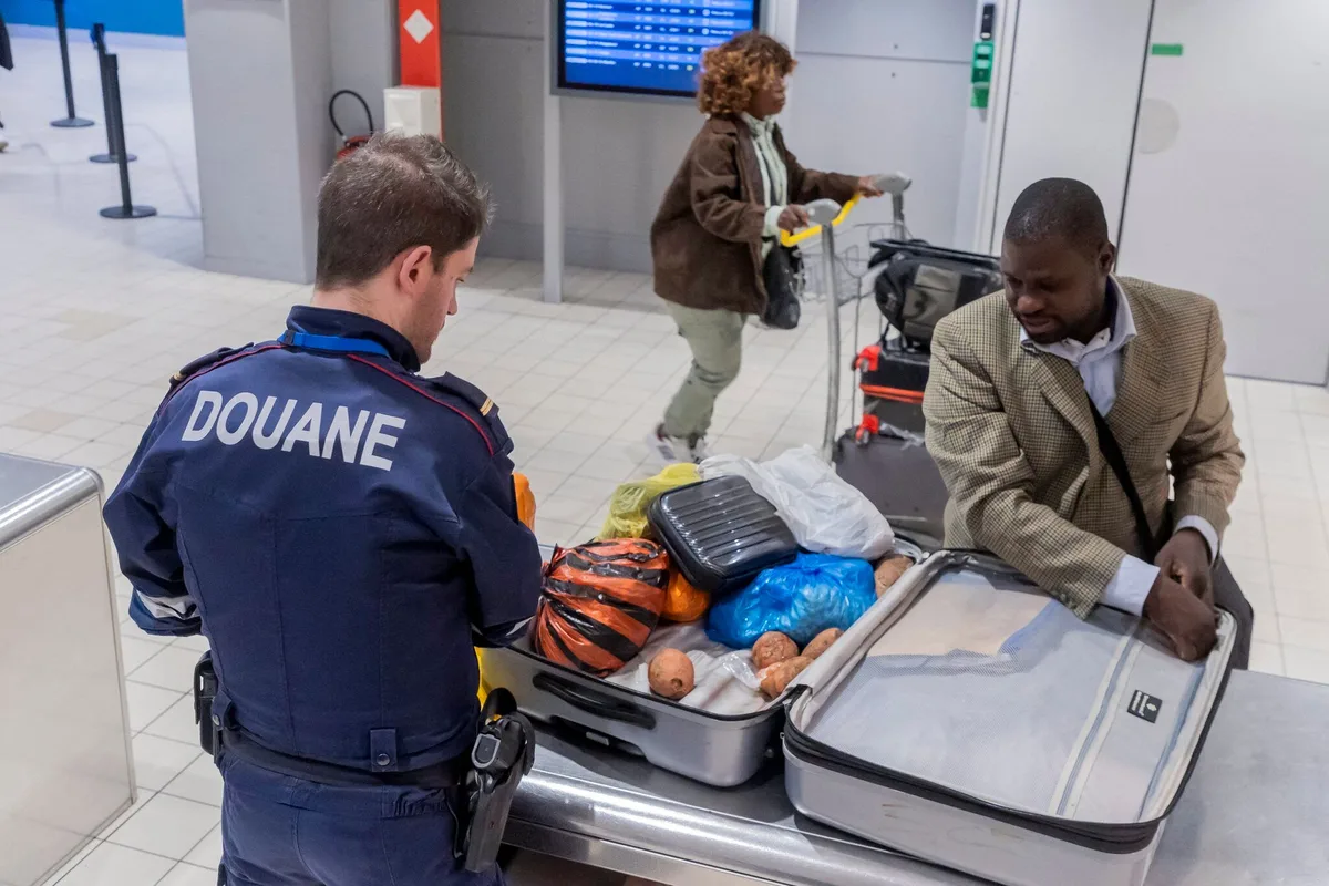 Espèces sauvages : le gouvernement annonce des mesures de lutte contre les trafics