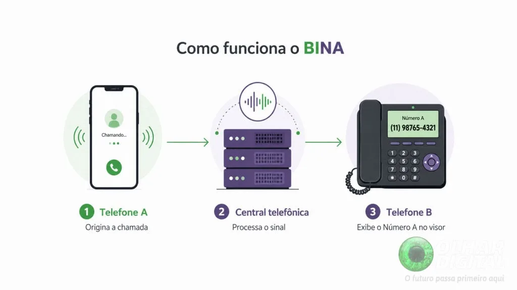 Tecnologias brasileiras que mudaram o mundo: conheça a história da Bina