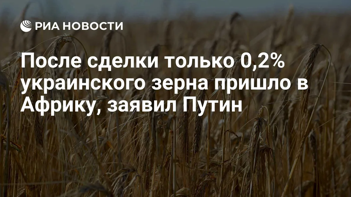 После сделки только 0,2% украинского зерна пришло в Африку, заявил Путин