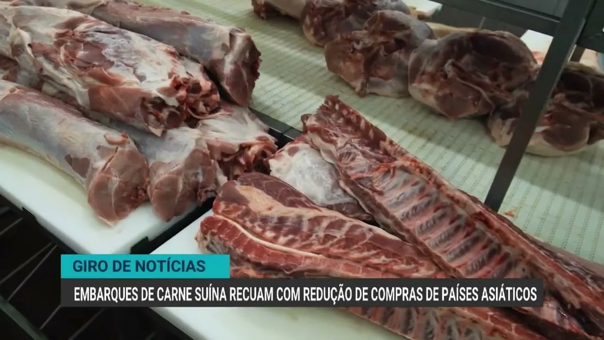 Exportações de carne bovina e suína do Brasil enfrentam recuo em 2026