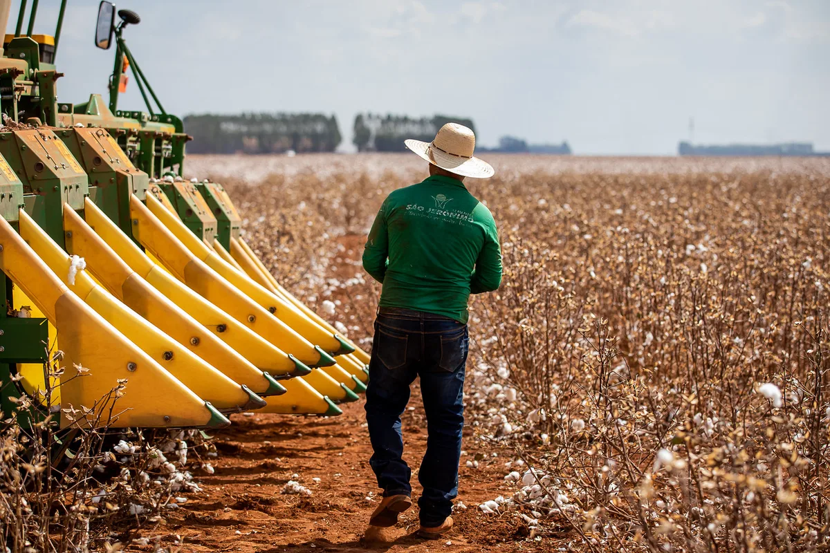 Número de empresas do agronegócio em recuperação judicial aumentou 18,7% em dois anos