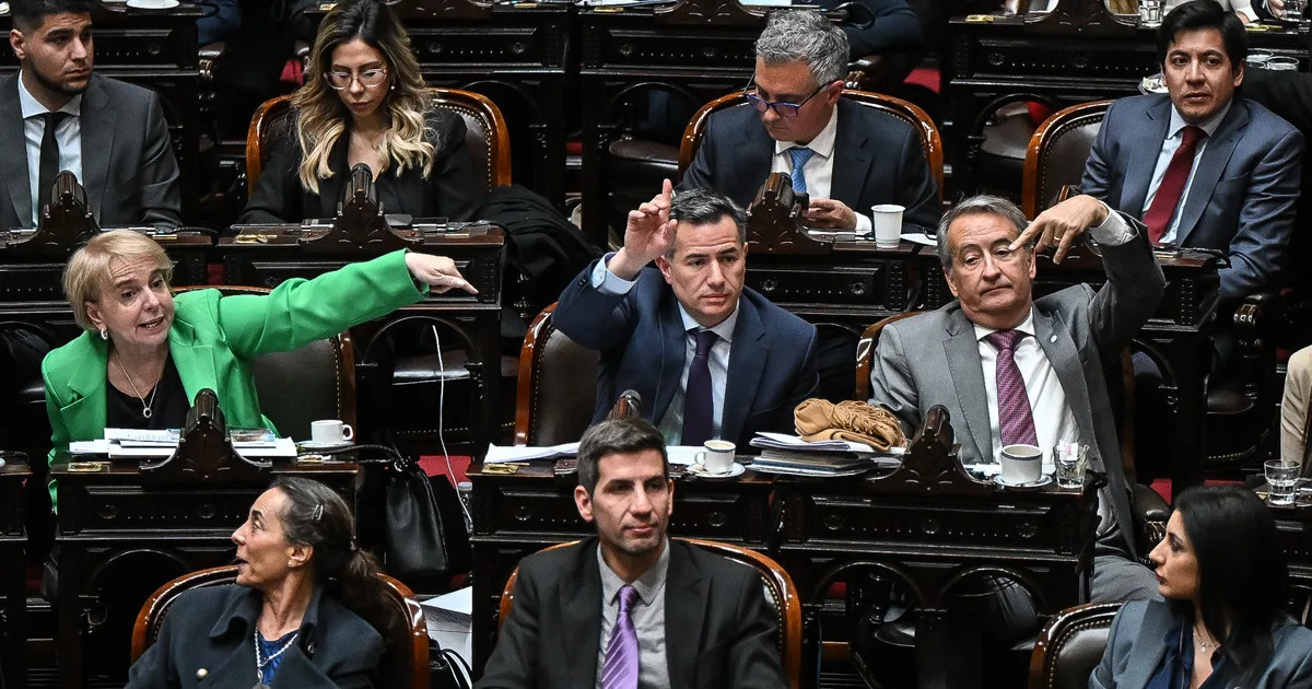 Giro total del Gobierno en el nuevo proyecto de Discapacidad: revierte lo previsto en el Presupuesto y busca apoyos para aprobarlo