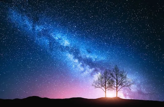 Satellite proliferation imperils astronomical observations: study