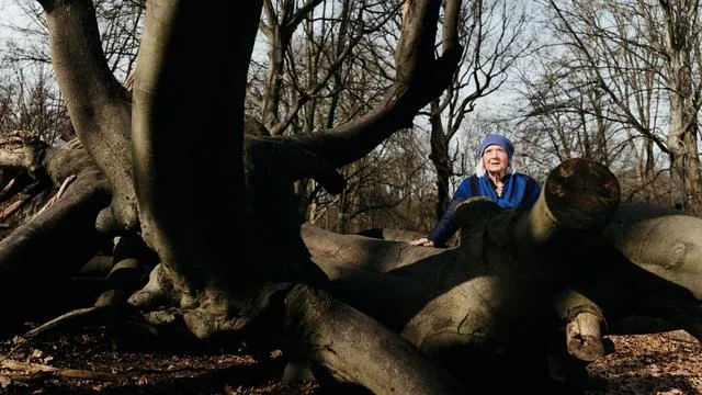 Umgang mit dem Tod: Reden wir über den Tod