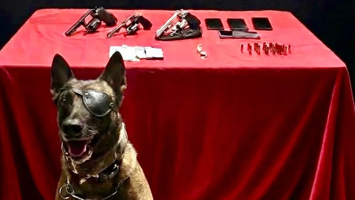 Operação termina com 3 presos e armas e drogas apreendidas em Jaguaré