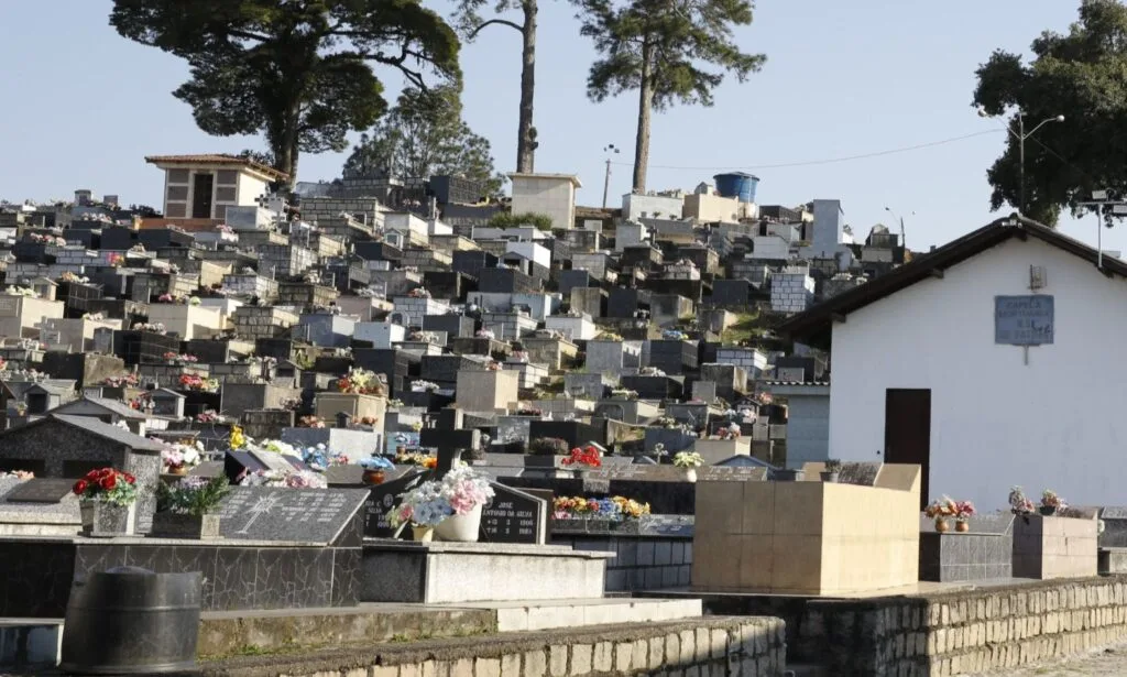 Sepulturas abandonadas em cemitério de SC podem ter restos mortais removidos; veja prazo