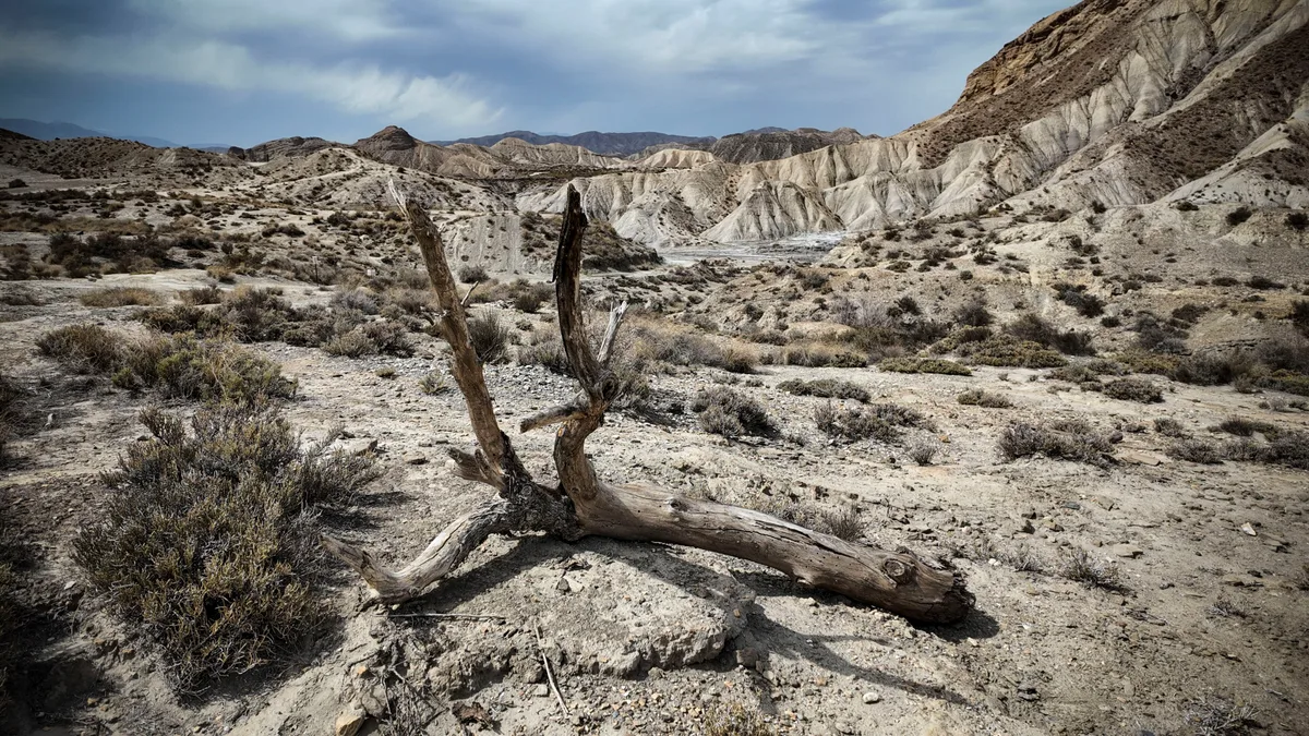 España va camino de convertirse en un desierto: “Como país no podemos renunciar a las renovables porque nos ha tocado la lotería y es la gran oportunidad del siglo XXI”