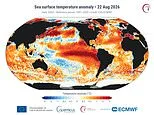 El Niños have become 40% stronger in the last 40 years than the previous 1,000 - and this year's event is on track to be the biggest ever