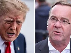 Kurz vor Midterms: Pistorius sieht Trump politisch "mit dem Rücken zur Wand"
