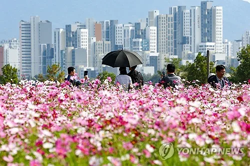 대전·세종·충남 낮 최고 25∼27도…일교차 10도 안팎