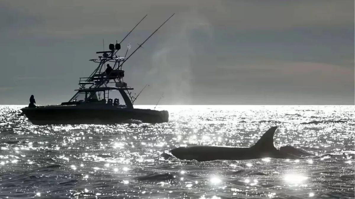 Marine experts call for satellite-based decision support system for sustainabler fisheries amid climate crisis