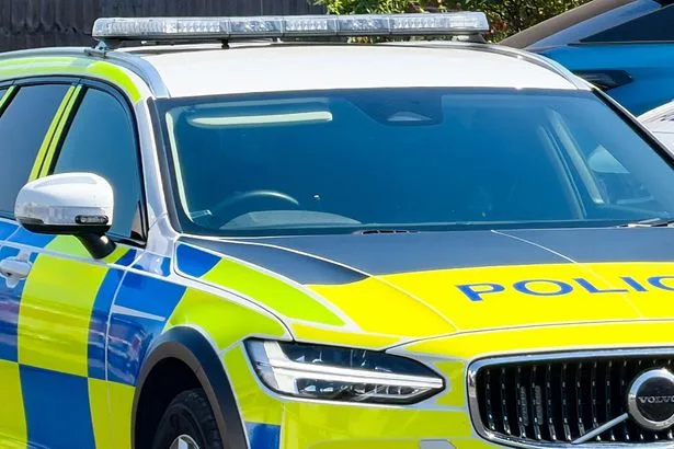 Three officers injured after 'lorry on wrong side of the road hits police car'