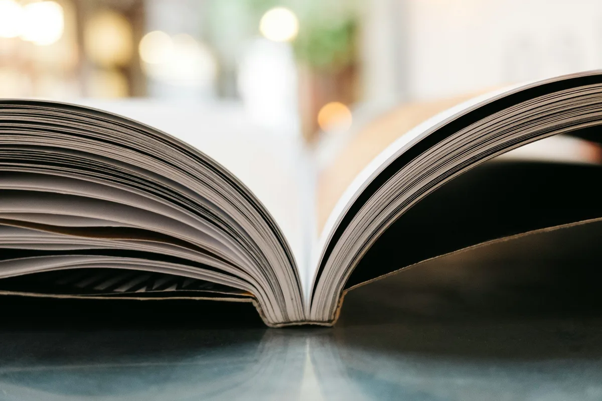 Pierpaolo Bottini e Renato Silveira lançam livro ‘Código Penal e Desigualdade’ na USP