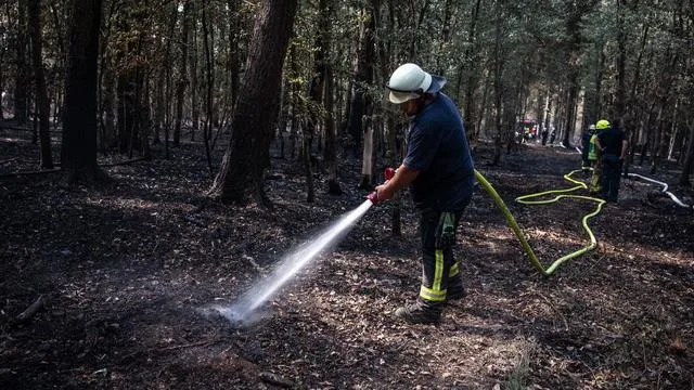 Waldbrände: Waldbrand im Hürtgenwald: Lage hat sich weiter entspannt