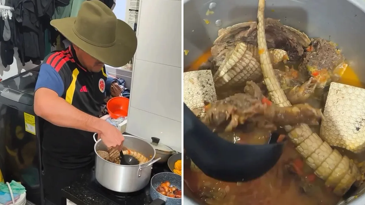 Senadora animalista Andrea Padilla criticó a funcionario de la ANT que se comió un armadillo en Bogotá y Gustavo Bolívar la cuestionó: “Se declaró gobiernista”