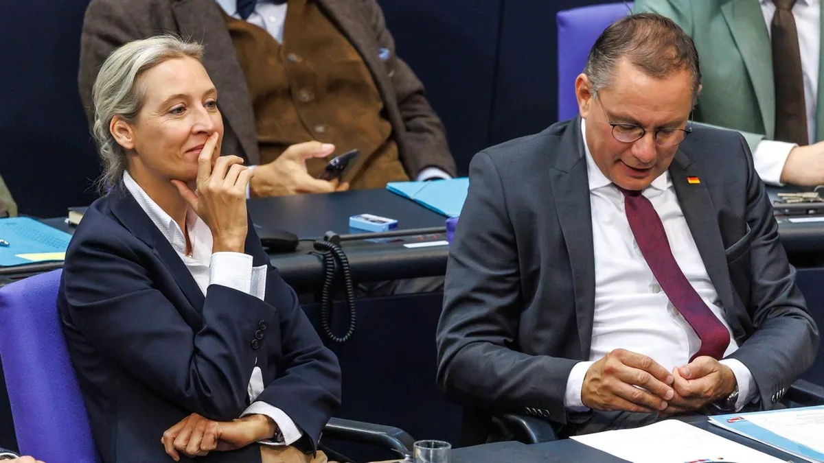 Strategiepapier: AfD bringt sich für den Koalitionsbruch der Union in Stellung