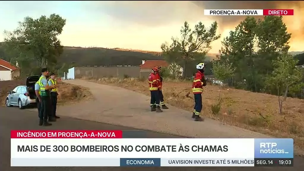 Bombeiros combatem incêndio em Proença-A-Nova