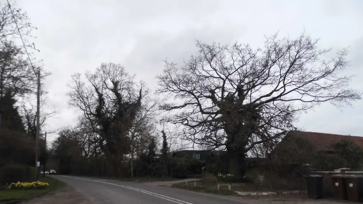Hertfordshire drops 3,750-home plan after public consultation