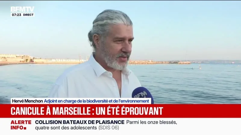 "Il y aura des impacts": Hervé Menchon, adjoint en charge de la biodiversité de la ville de Marseille, détaille les conséquences du réchauffement des fonds marins