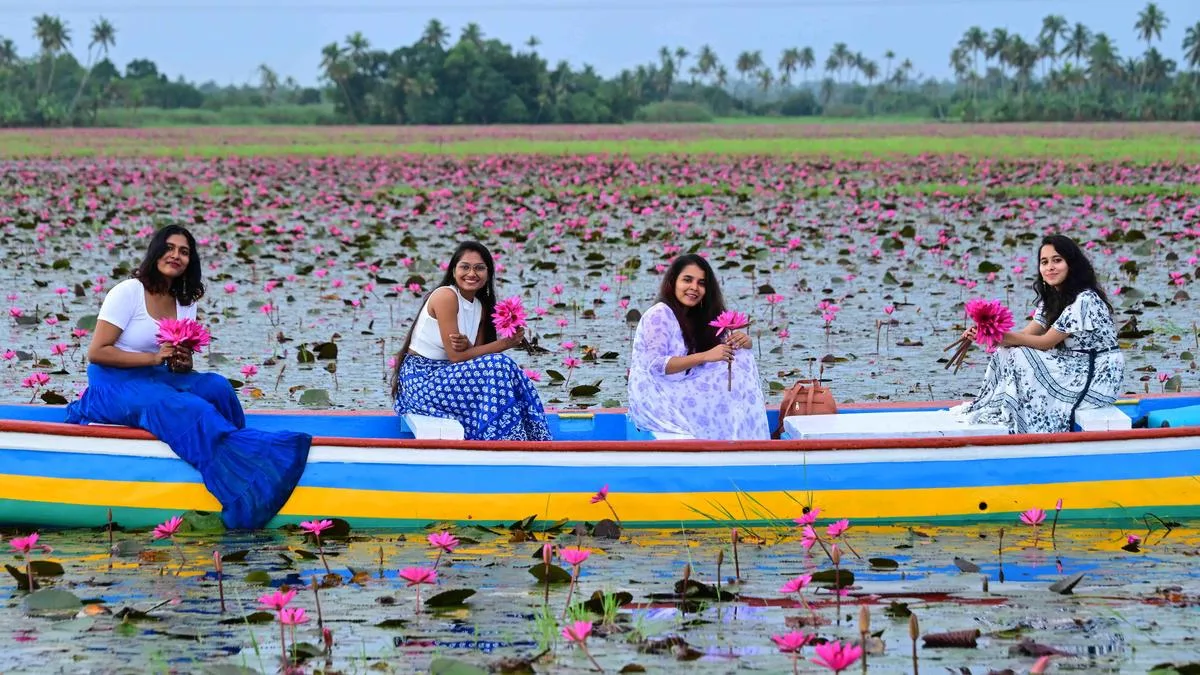 Malarikkal goes beyond lilies to become a full-day destination