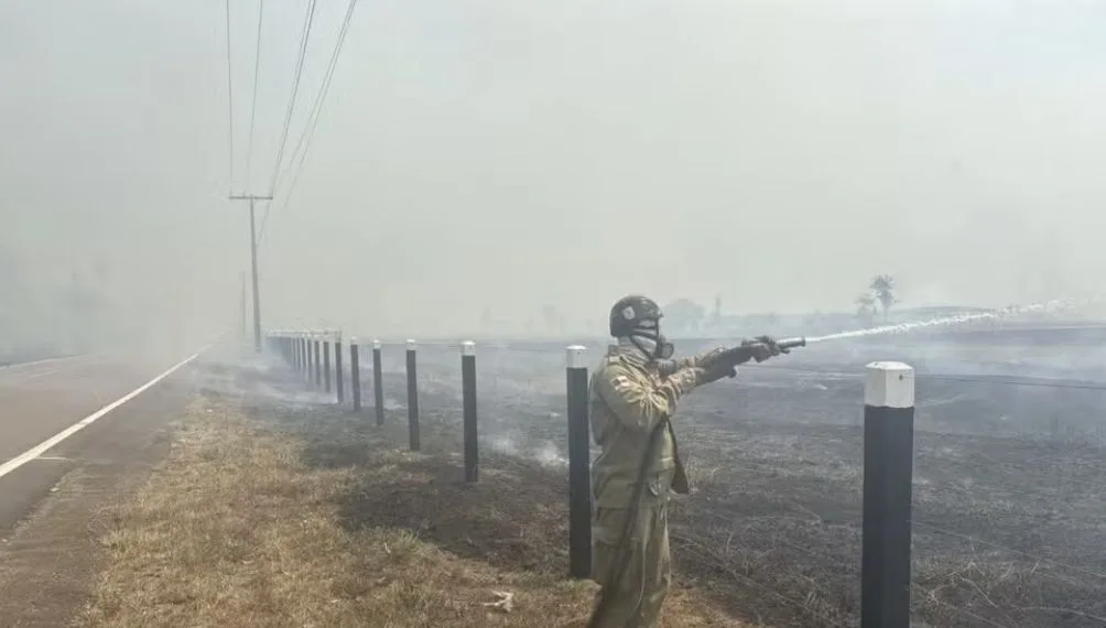 Incêndio florestal atinge trecho da BR-319 e mobiliza 23 bombeiros no Amazonas