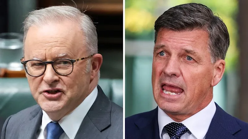 Labor and Coalition unite to ringfence AI from One Nation backlash